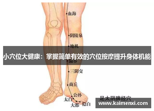 小穴位大健康：掌握简单有效的穴位按摩提升身体机能